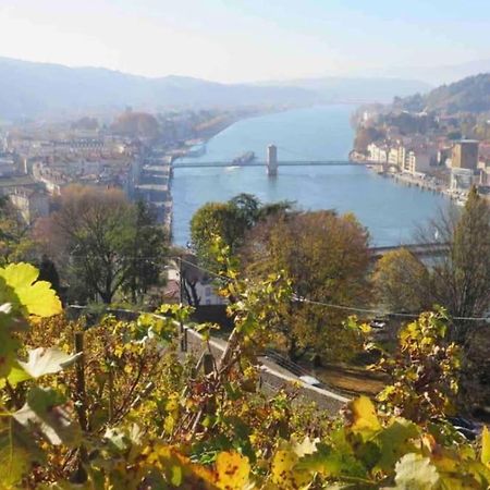 Appartement Vignes Vienne Nord エクステリア 写真